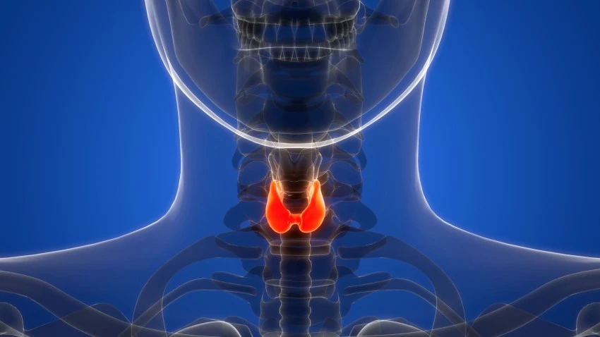 GettyImages-2152541694-scaled